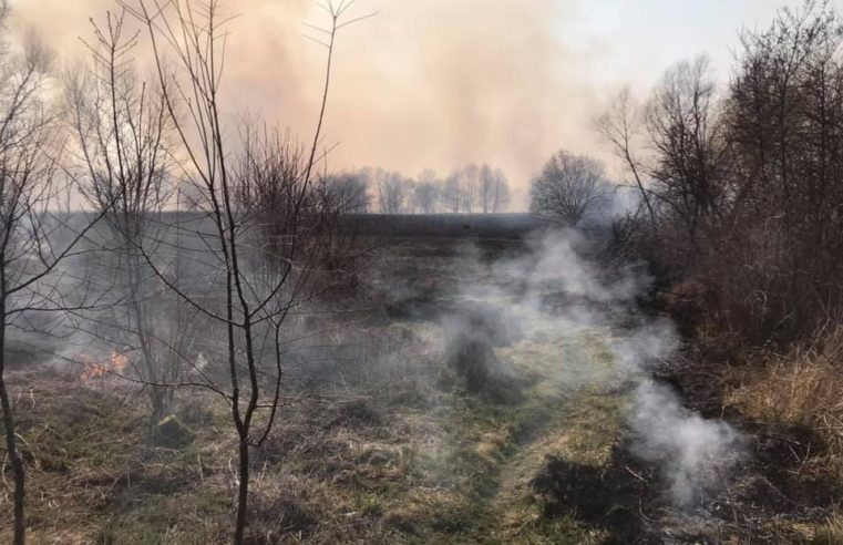 Протягом доби 29 березня сокальські рятувальники здійснили 7 виїздів на пожежі сухої трави