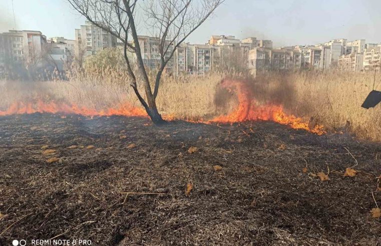 В Червонограді знову випалюють сухостій