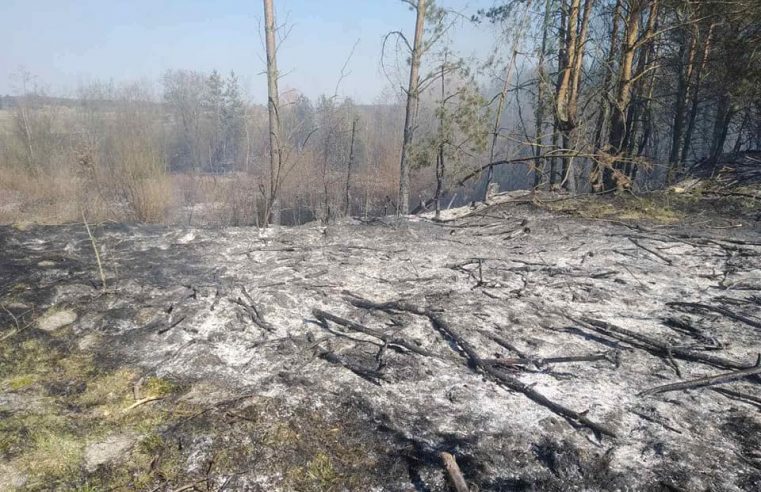 В Сокальському районі знову пожежі сухої трави та чагарнику