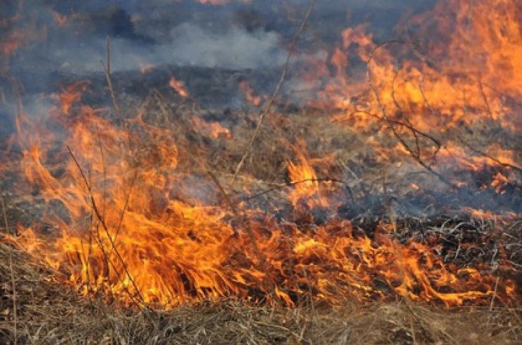 Весняні пожежі нищать країну. Лише за останні вихідні рятувальники м.Червонограда загасили 9