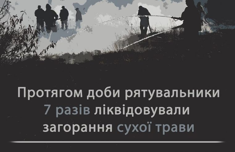 На Сокальщині знову підпал сухої трави