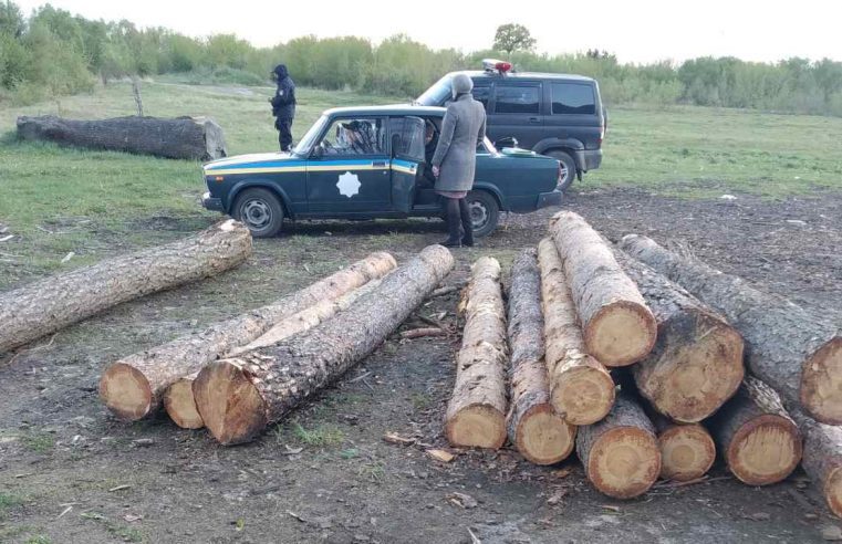 “Нічия” деревина у селі Реклинець