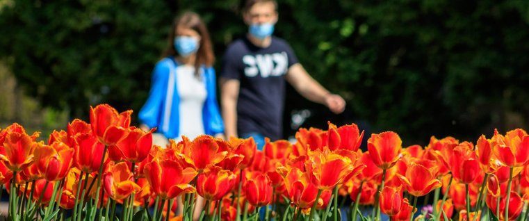 На Сокальщині не буде послаблення карантину ще до 29 травня