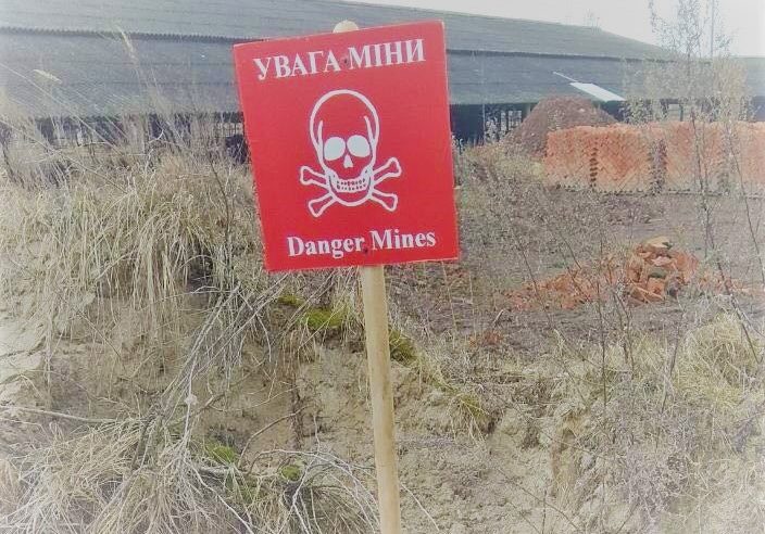 Біля будинку у с.Тартаків виявили  ручну гранату часів ІІ Світової війни