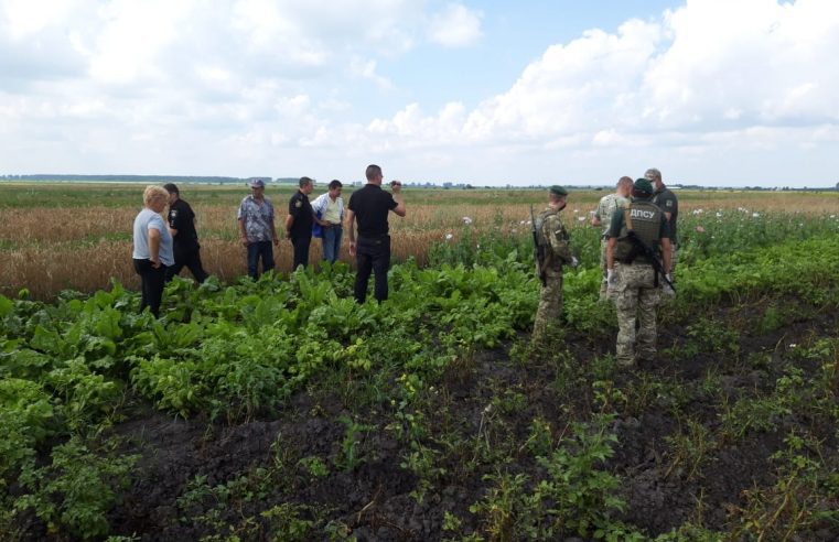 Жінка за Хлівчанами посіяла маку на строк від 3 до 7 років позбавлення волі