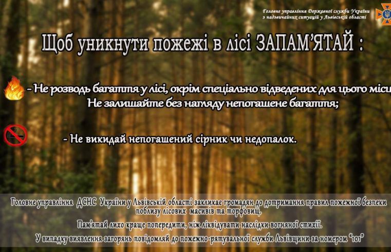 Відпочивай в лісі безпечно!