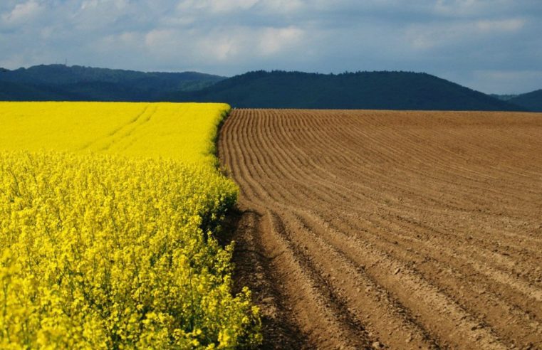 Несумлінне ставлення Сокальського державного реєстратора до своїх службових обов’язків коштувало 1,7 млн грн