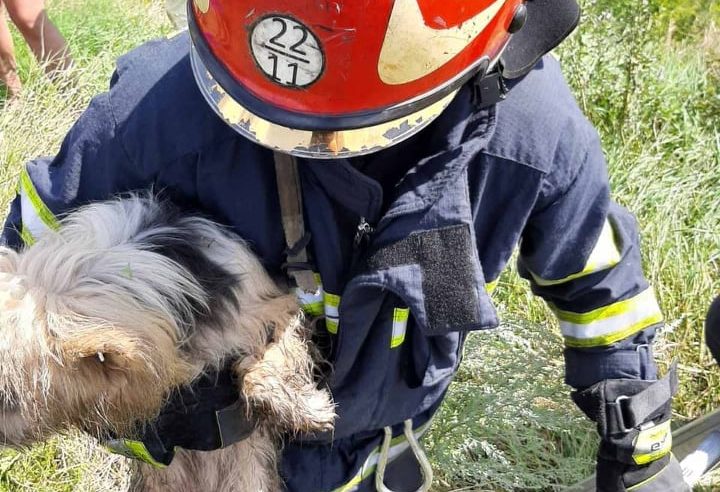 У с.Забужжя чотирилапогого друга витягли з пастки рятувальники