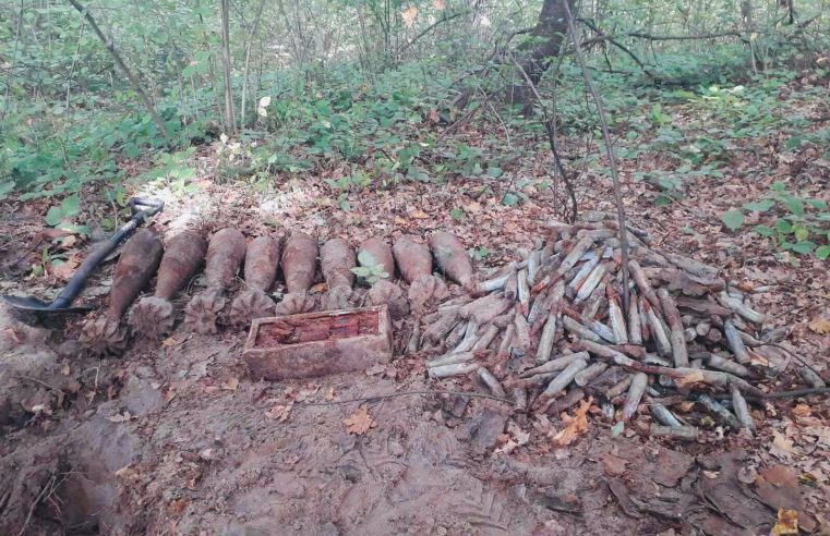9 мін та 570 набоїв часів ІІ Світової виявили на Сокальщині під час прогулянки