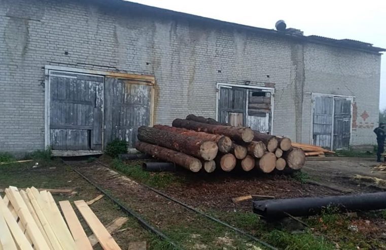 На Сокальщині правоохоронці вилучили незаконно зрубану деревину