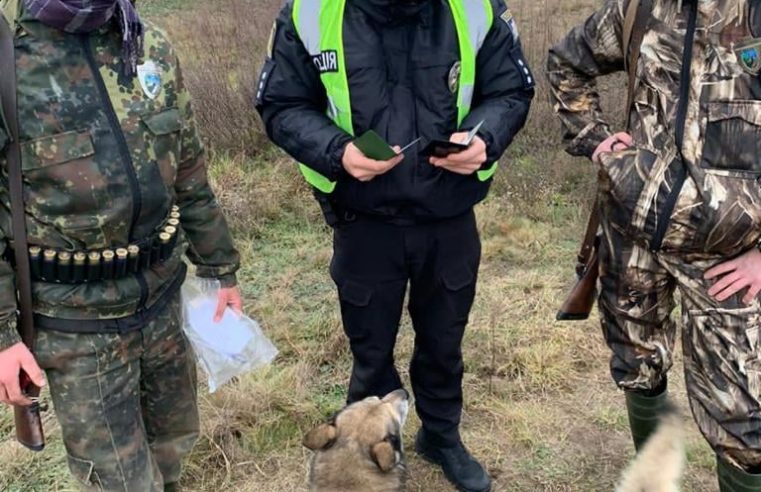 Сокальські мисливці порушили правила полювання
