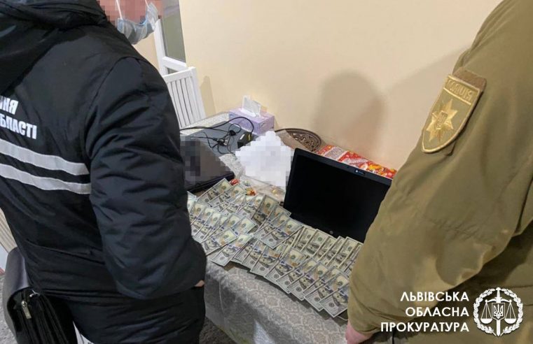 Червоноградські підприємці, продавши 2 км комунальної теплотраси, завдали збитків державі на майже 9 млн грн