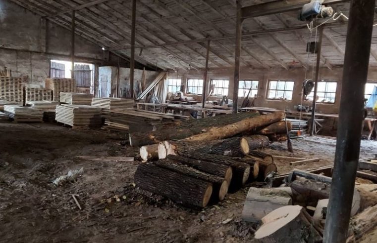 На Радехівщині вирубали лісу на 2,6 млн грн і 10 років тюрми