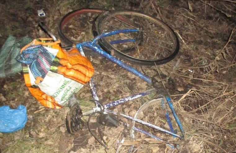 Нетверезі обоє – в Горбкові у ДТП постраждав велосипедист