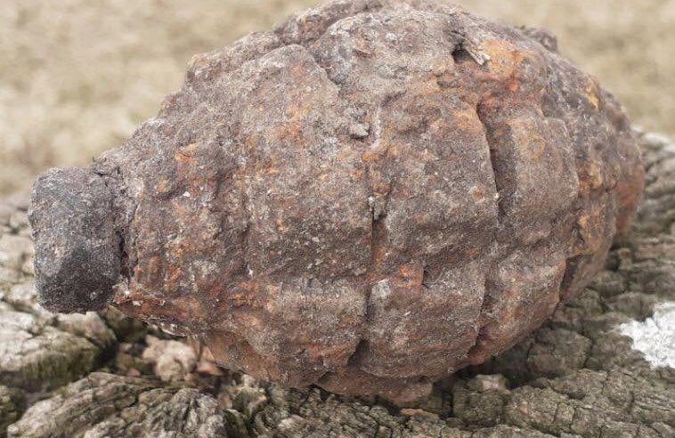 Біля с. Волиця під час прогулянки полем знайдено гранату  Ф -1 часів ІІ Світової війни