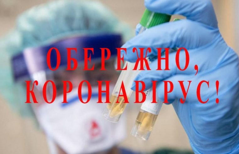 939 – Львівщина, 35 – Червоноградський район: кількість виявлених хворих ковідом за останню добу
