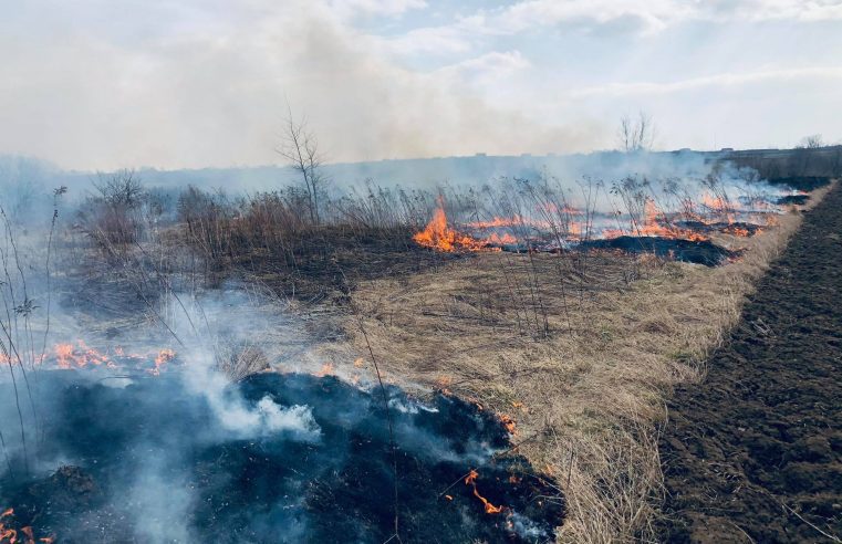 Вогнище, яке залишили після відпочинку молоді люди, ледь не спричинило пожежу на Бендюзькому кладовищі