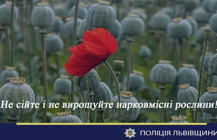 Не сійте і не вирощуйте: на Львівщині стартувала спецоперація «Мак»