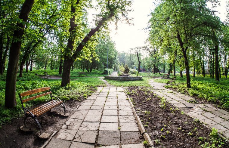 Сокальський парк стане  пам’яткою садово-паркового мистецтва