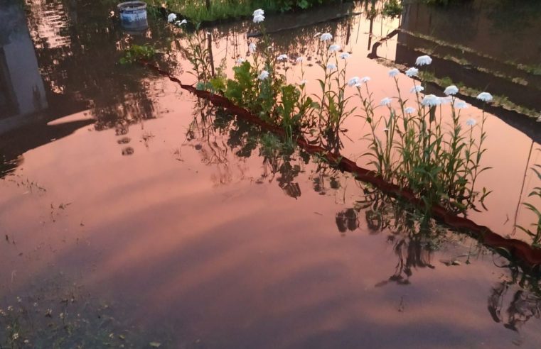 Червоноград після зливи підтопило