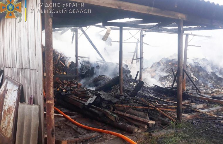 Згоріло три тонни сіна та 15 кубометрів дров – у Бутинах сталася пожежа