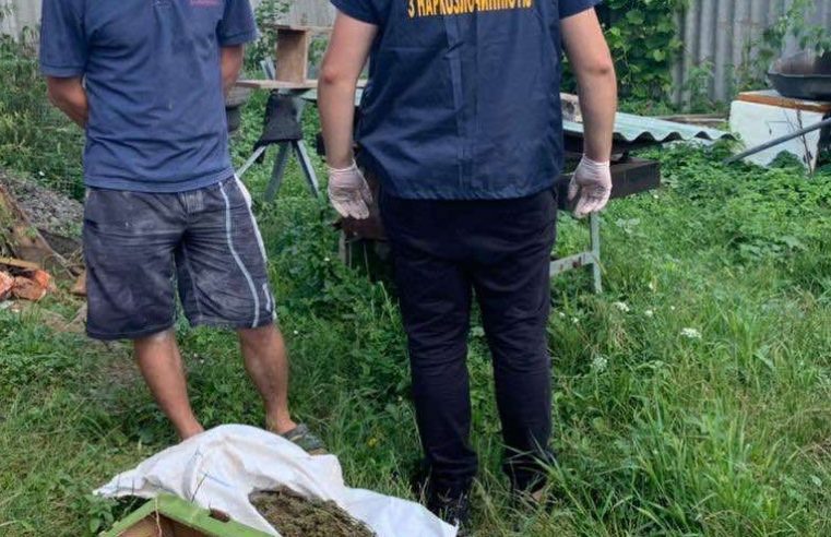 36-річний сокальчанин “заготував” канабісу та коноплі на 10 років тюрми