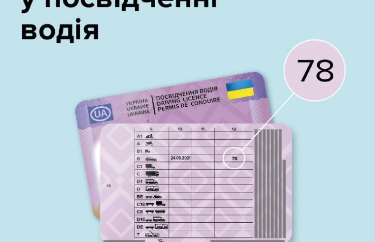 У посвідченнях водія з’являться нові позначення: що вони означатимуть