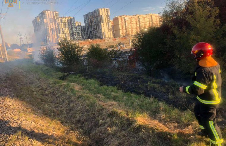 Львівщина “горить”: в області за добу зареєстрували 5 пожеж сухостою