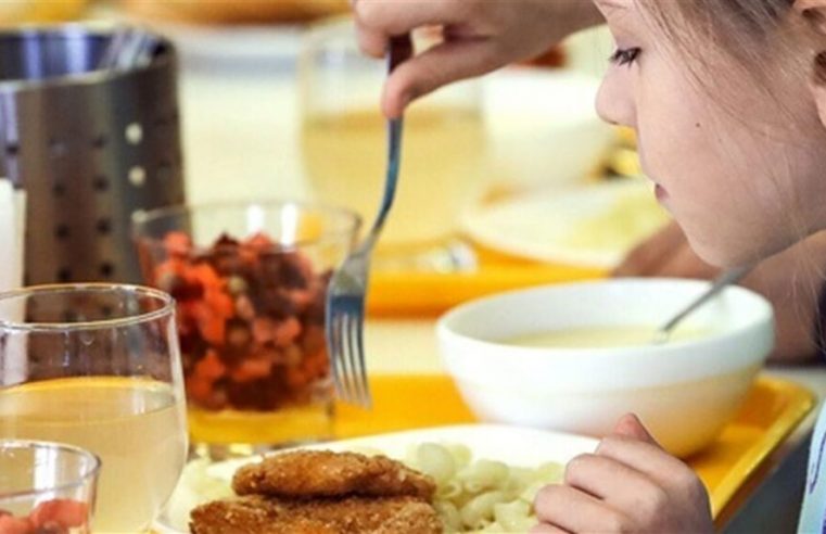Хто має право на безоплатне харчування в закладах освіти та за яких умов