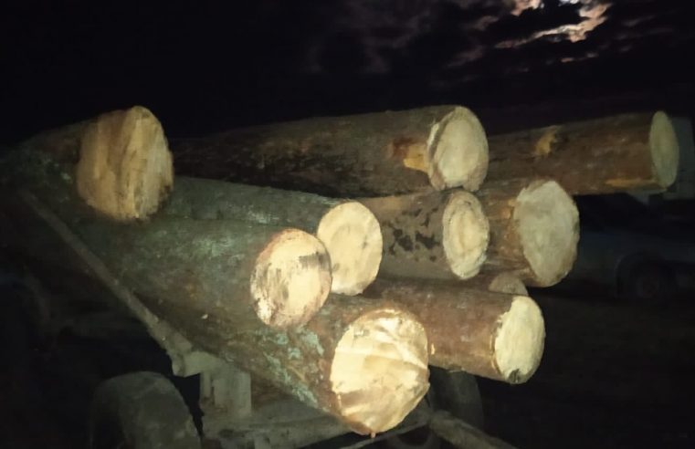 27-річний житель одного з сіл району незаконно зрубав десять колод сосни. Тепер йому загрожує штраф або обмеження волі