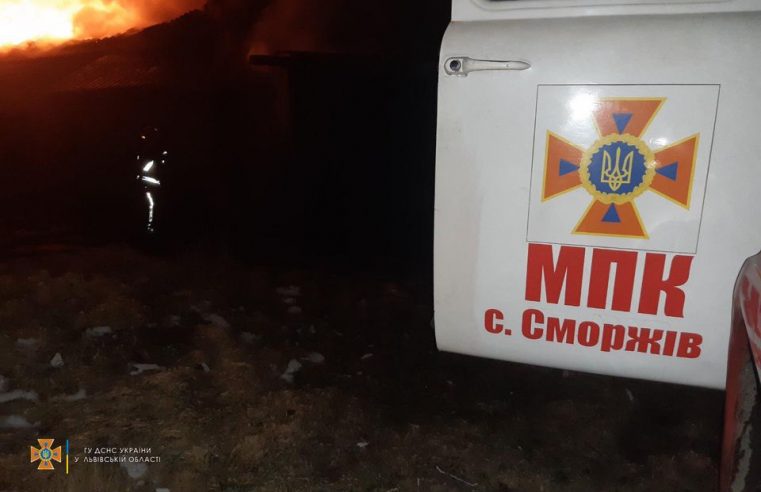 Згоріло 20 тонн сіна та 2 тонни вівса, але врятовано свійських тварин – пожежа у Червоноградському районі