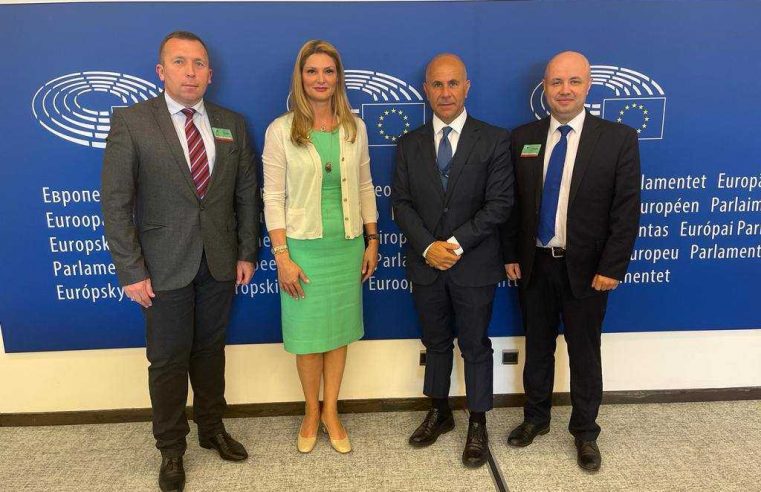 Червоноград представлятимуть у Європарламенті