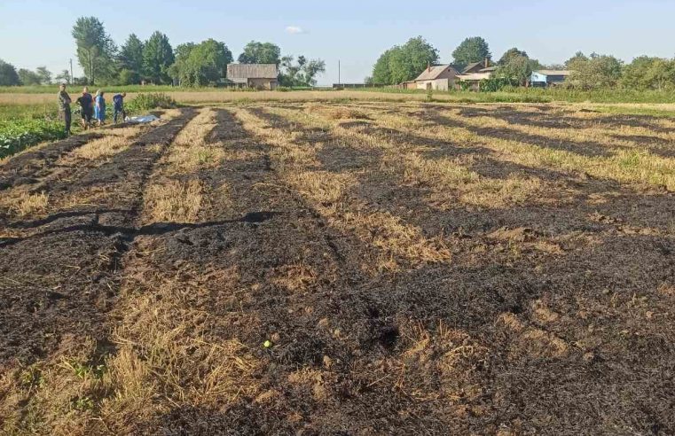 У селі Княже Червоноградського району на присадибній ділянці виявили обгоріле тіло