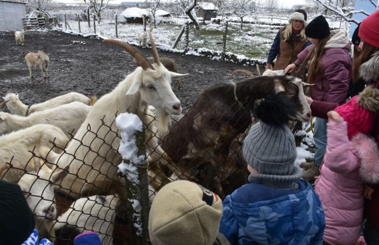 Комплексна психологічна допомога переселенцям